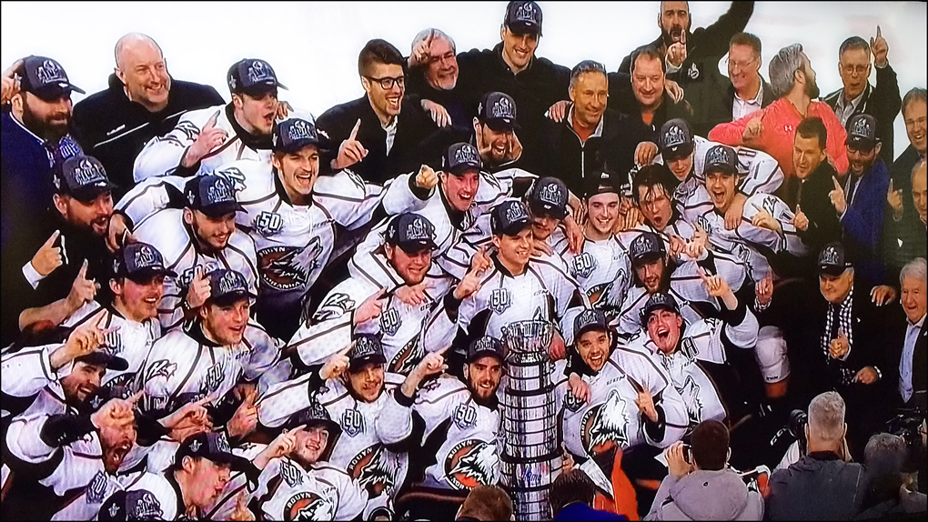 LHJMQ : Les Huskies champions ! - Journal le Montérégien